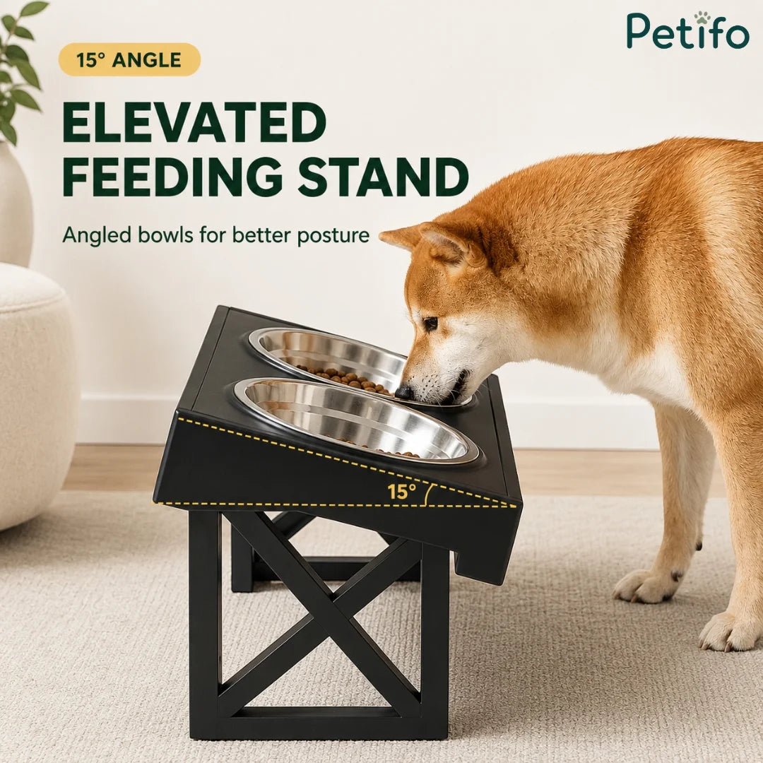 Shiba Inu dog eating from 15-degree angled Petifo elevated feeding stand for better posture