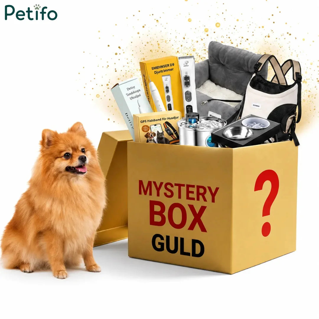 Gold mystery box packed with essential pet care gear next to a pomeranian.