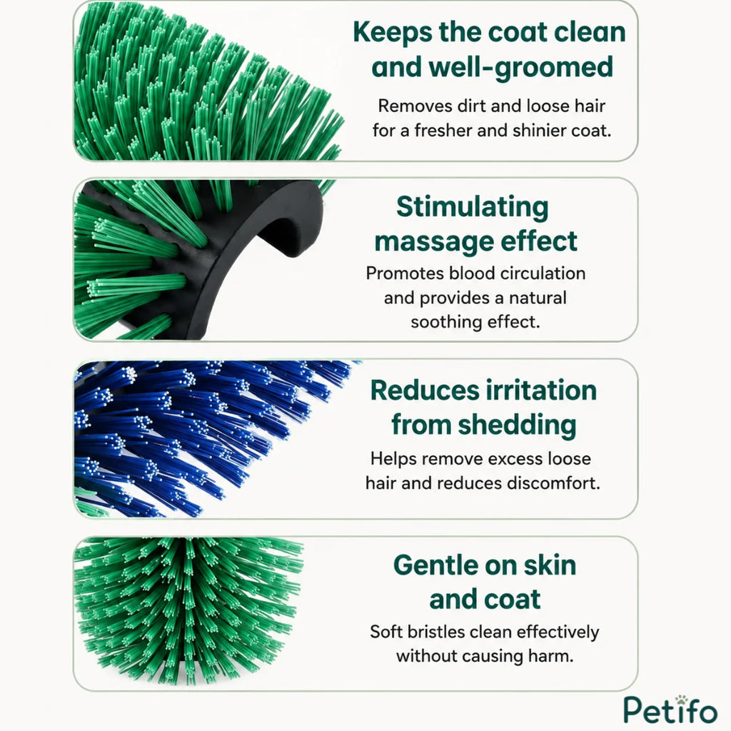 Informational feature breakdown highlighting how the grooming brush keeps coats clean, stimulates blood circulation, and reduces shedding irritation.