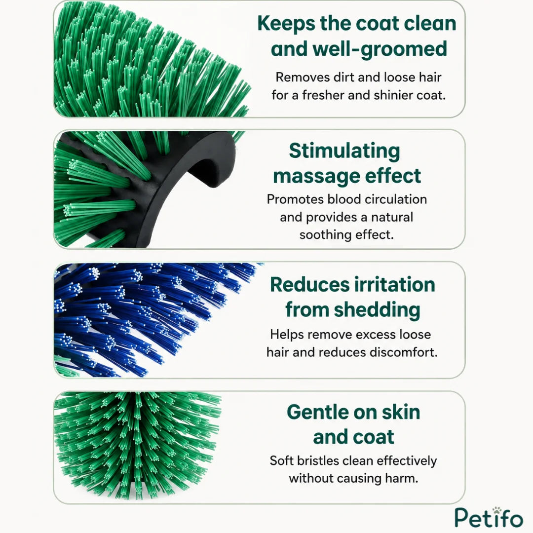 Informational feature breakdown highlighting how the grooming brush keeps coats clean, stimulates blood circulation, and reduces shedding irritation.
