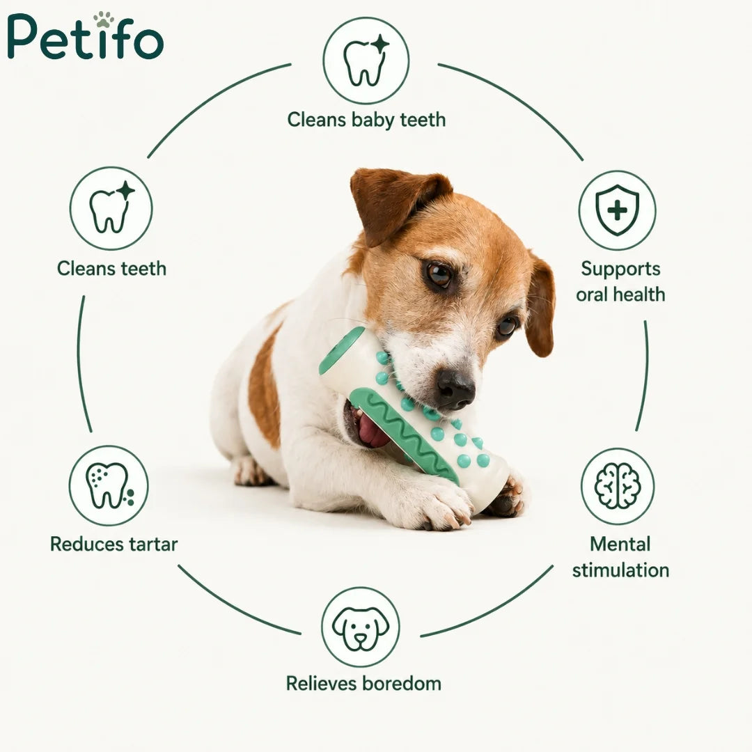 Feature circle diagram showing how the Petifo chew toy cleans teeth, reduces tartar, supports oral health, and relieves boredom for dogs.