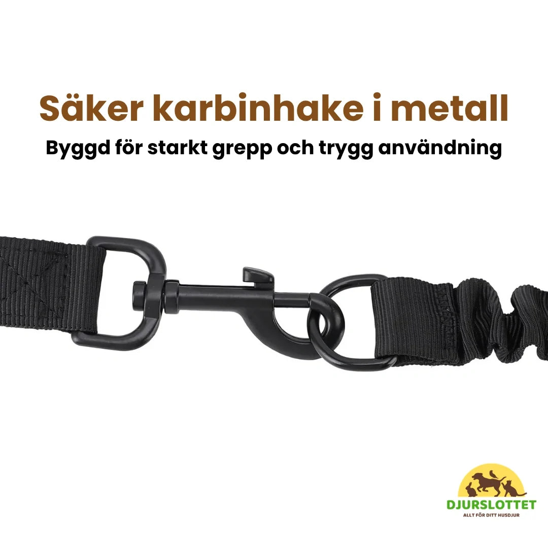 Flexura Dog Bike Lead Secure metal carabiner - Petifo