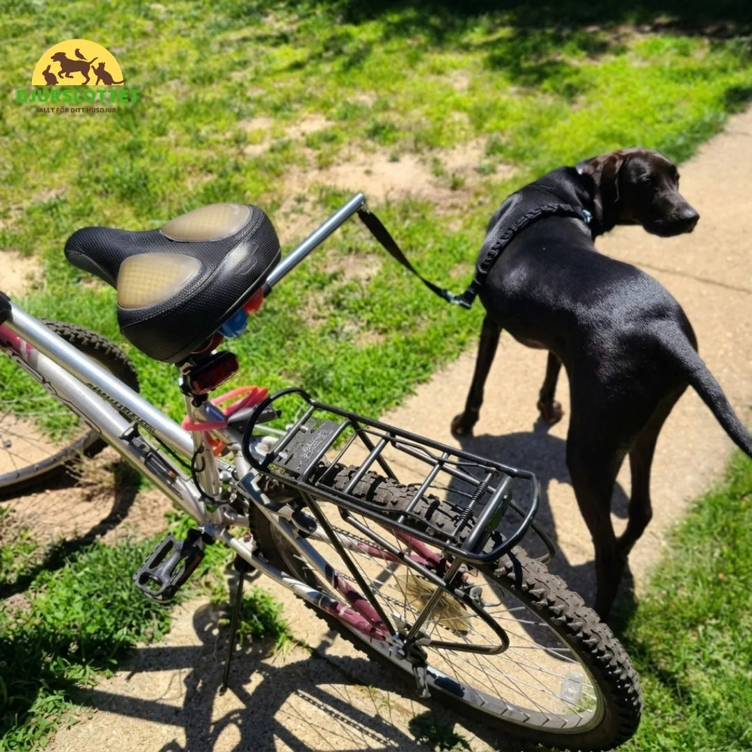 Flexura Dog Bike Lead Durable stitching for safe use - Petifo