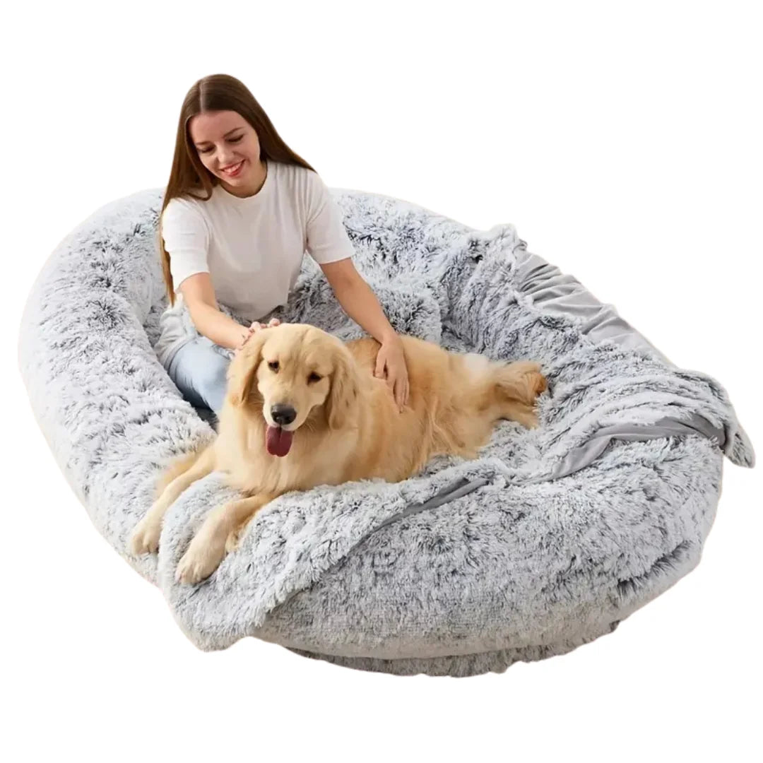 Woman sitting and petting a happy golden retriever in a fluffy grey human dog bed.