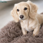 Close-up portrait of an adorable blonde dachshund puppy relaxing in a fluffy brown pet bed.