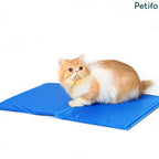 Fluffy Persian cat sitting on a blue Petifo cooling mat against a clean white background.