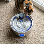Fontanello cat fountain - Petifo