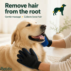 Lifestyle photo of a golden retriever enjoying a gentle massage and coat de-shedding session with the Petifo glove.
