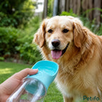 Lifestyle photo of a golden retriever drinking water from the Petifo bottle held by a hand outdoors.