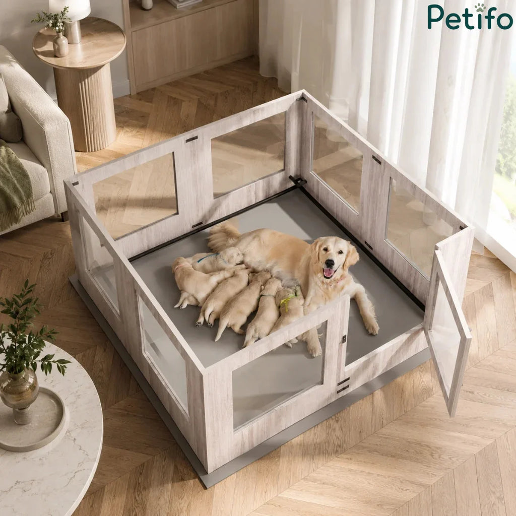 A golden retriever mother dog nursing her newborn puppies inside a Petifo wooden whelping pen placed on a protective mat in a modern living room setting.