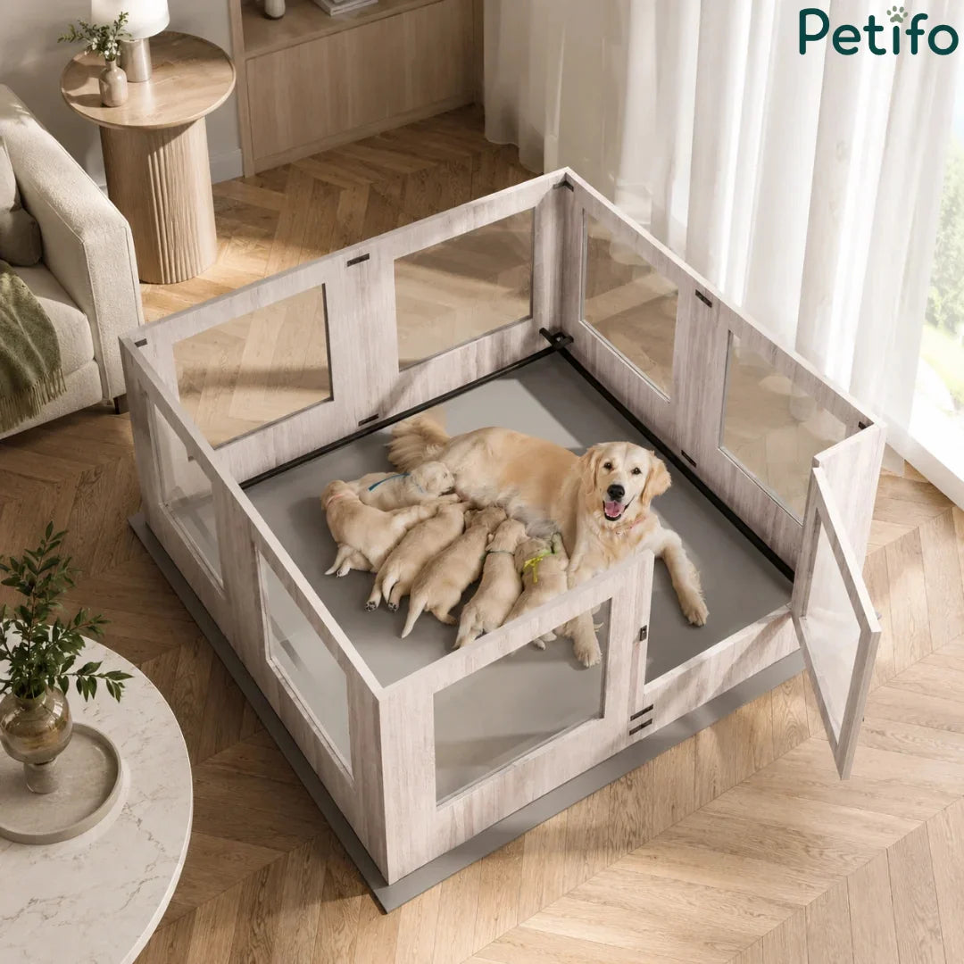A golden retriever mother dog nursing her newborn puppies inside a Petifo wooden whelping pen placed on a protective mat in a modern living room setting.