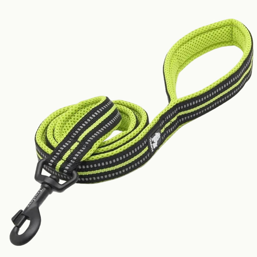 A Green TrueLove Reflexfit reflective dog leash with a padded handle and durable metal clip.