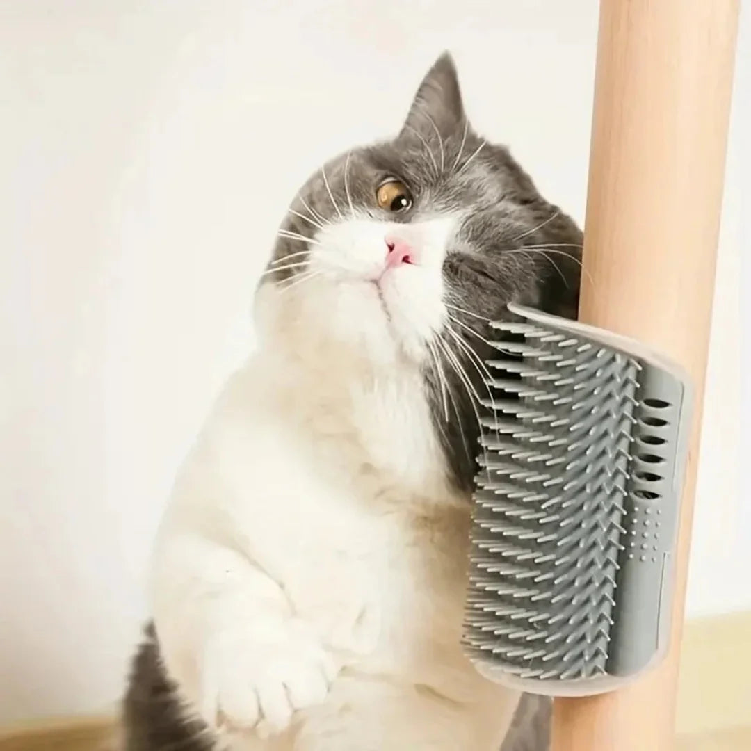 Close-up of a cute cat enjoying a soothing scratch against the grey wall-mounted corner groomer.