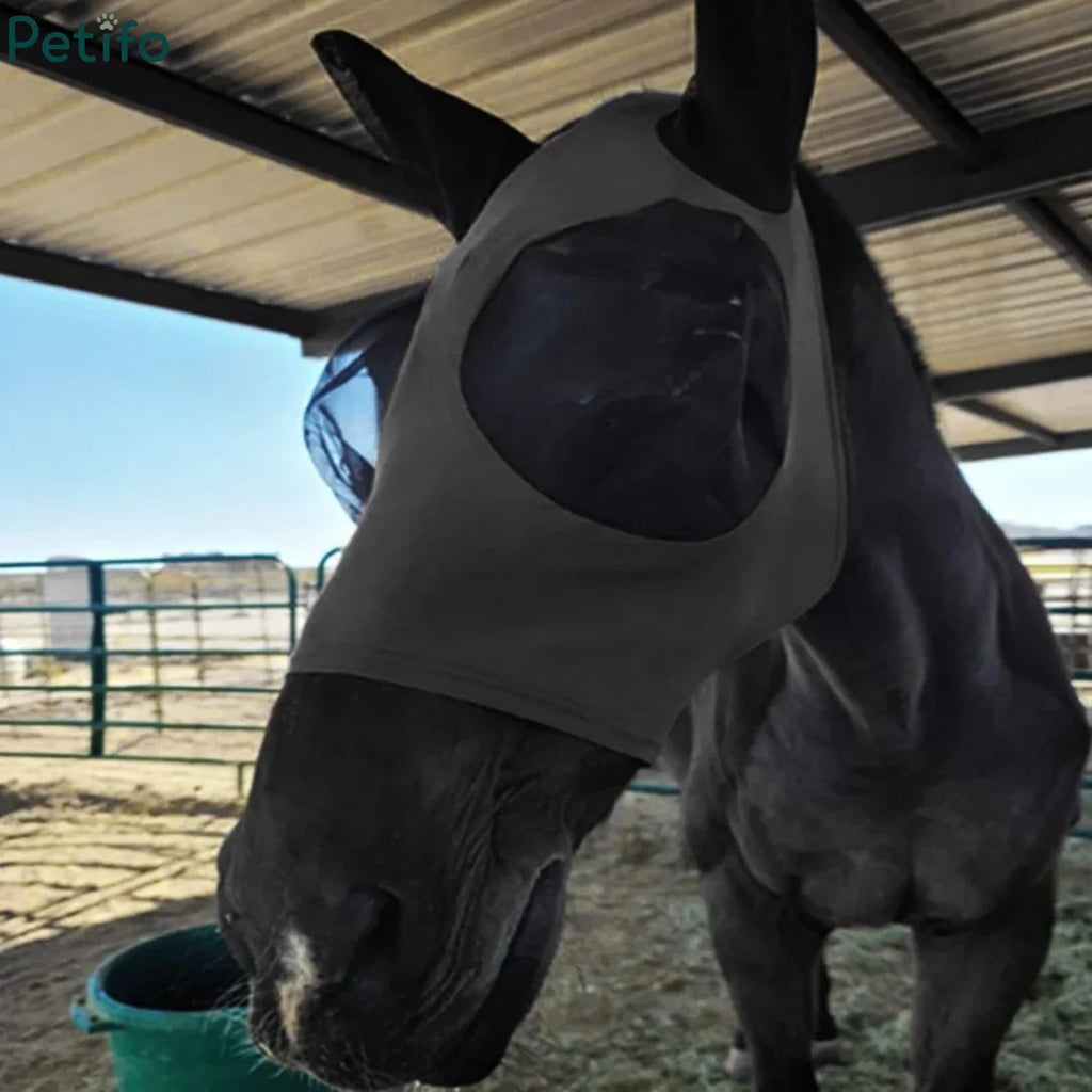 Grey equine fly mask worn by a horse in an outdoor stall setting for daily pest defense.