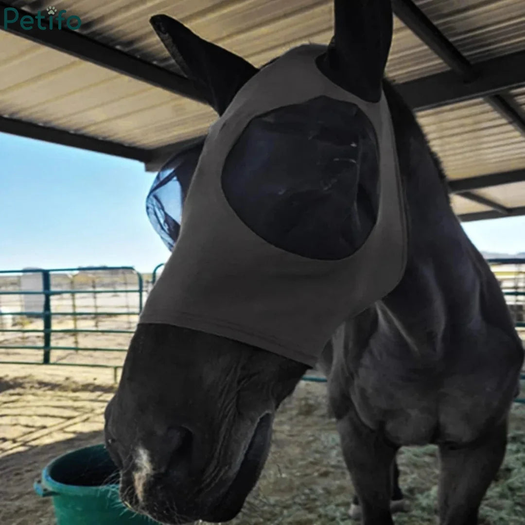 Grey equine fly mask worn by a horse in an outdoor stall setting for daily pest defense.