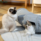 Fluffy ragdoll cat sitting next to a tabby cat peeking through a grey interactive cat tunnel.