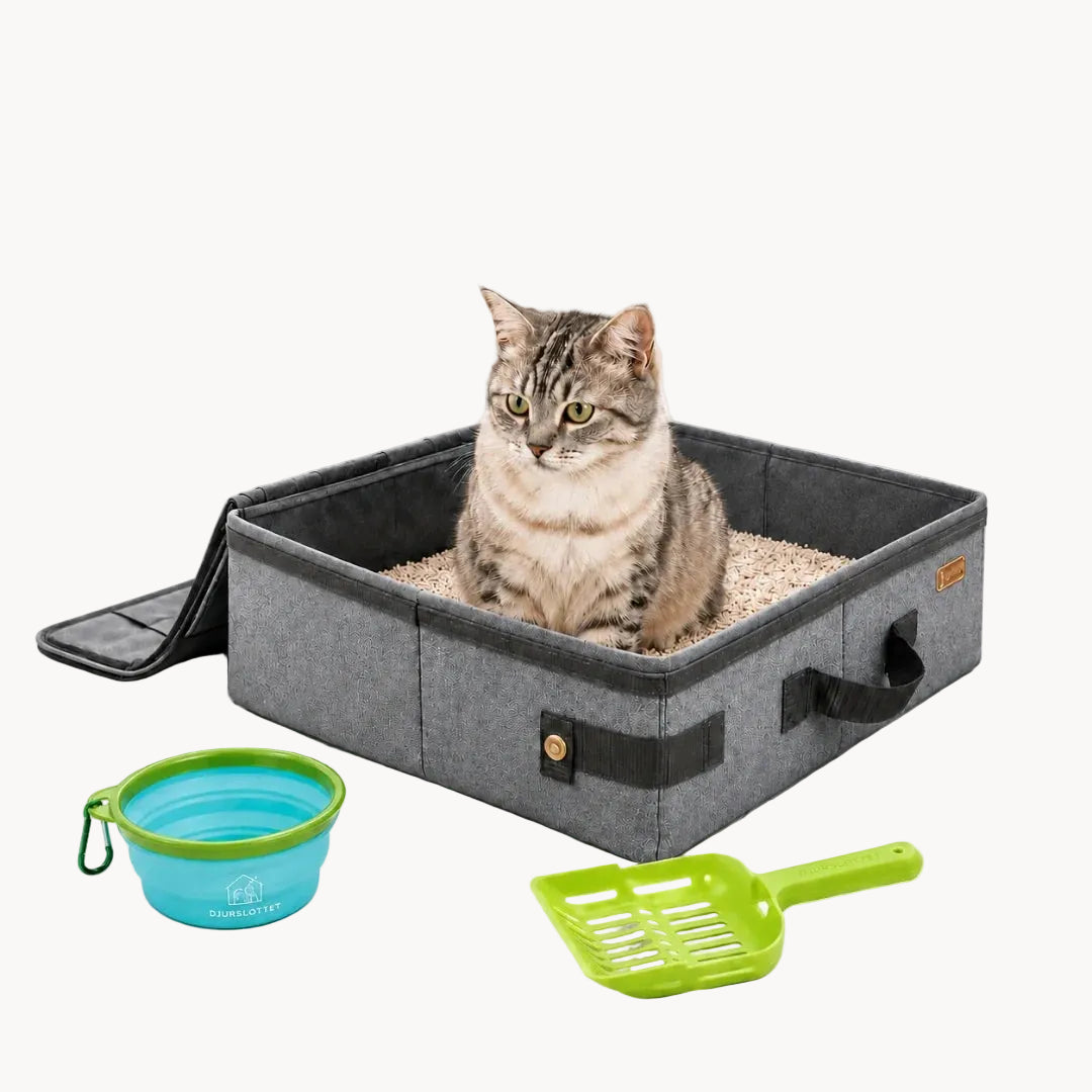 Grey portable cat litter box with a cat inside, accompanied by a blue collapsible bowl and green scoop on a white surface.
