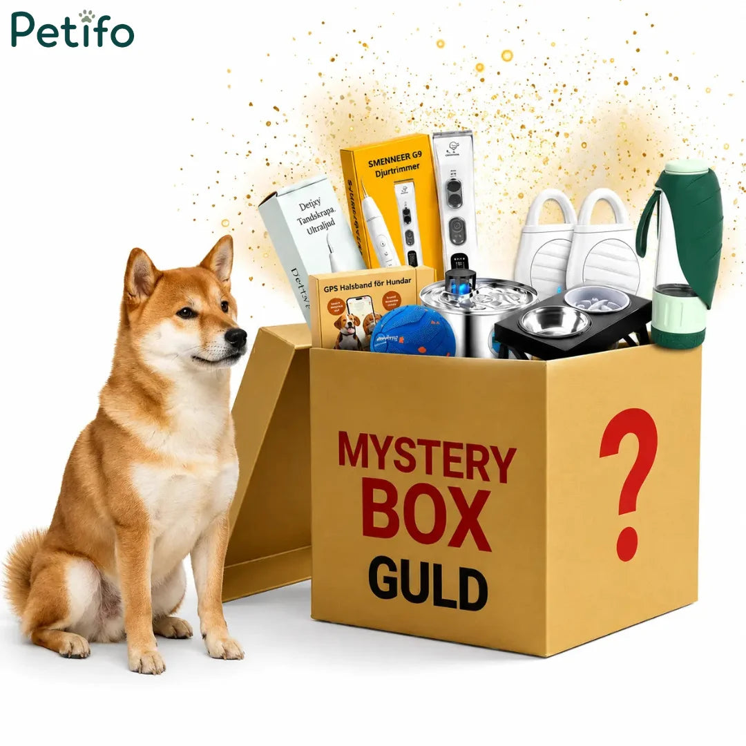 Guld mystery box filled with dog care supplies next to a cute Shiba Inu.