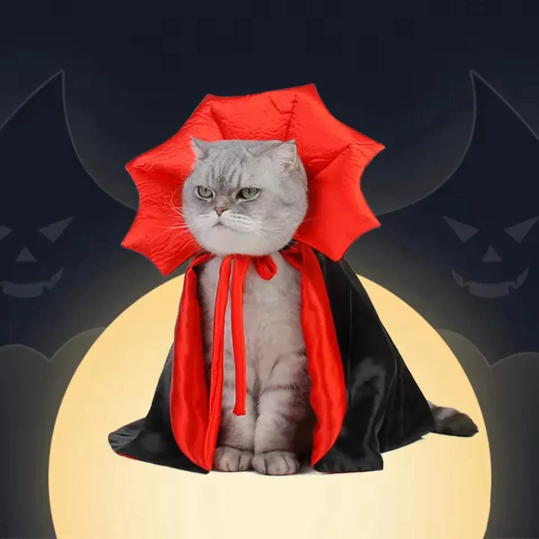 Halloween Costume for Cats A design that impresses - Petifo