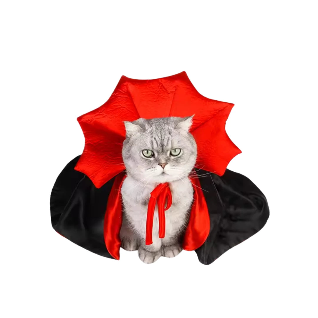 Halloweenkostym för katt Komfort i fokus - Djurslottet