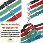 Semi-choke Collar with personalised engraving Strong materials, safe control - Petifo