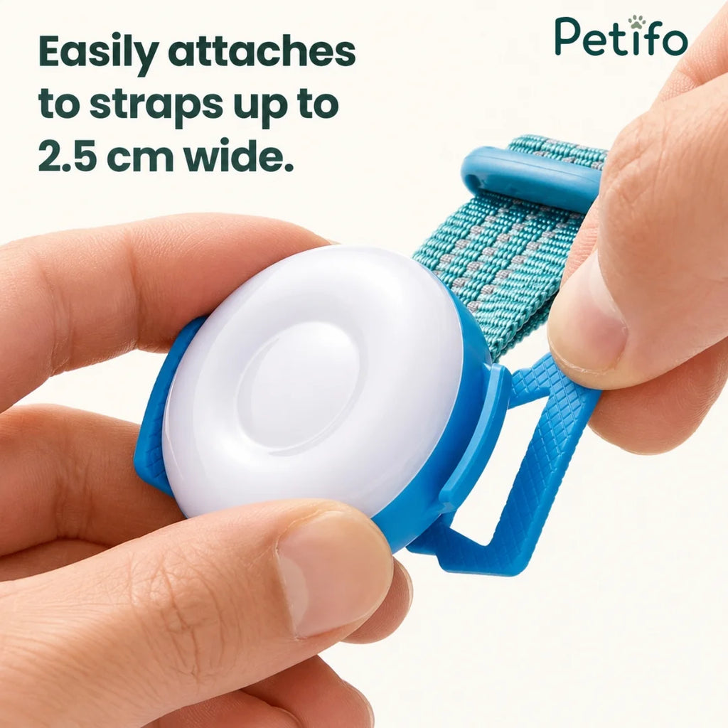 Hands attaching a blue Petifo LED safety light to a collar strap up to 2.5 cm wide.