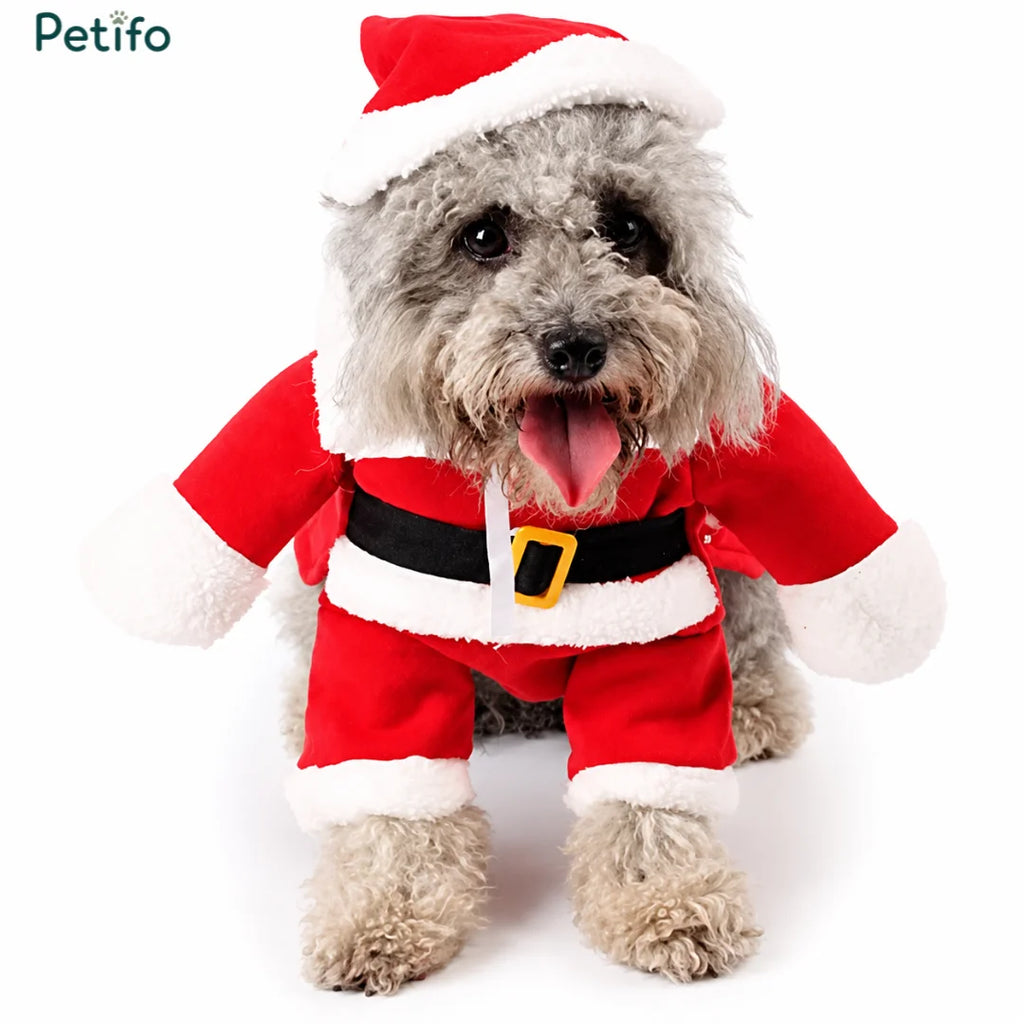 Happy dog posing while wearing a red Santa Claus outfit with a matching hat.
