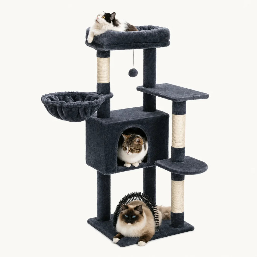 High-quality product image of a dark grey multi-level cat tree featuring three cats resting in the condo, hammock, and top bed.