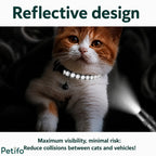 Ginger and white cat wearing a high-visibility reflective stripe collar tested with a flashlight in the dark.