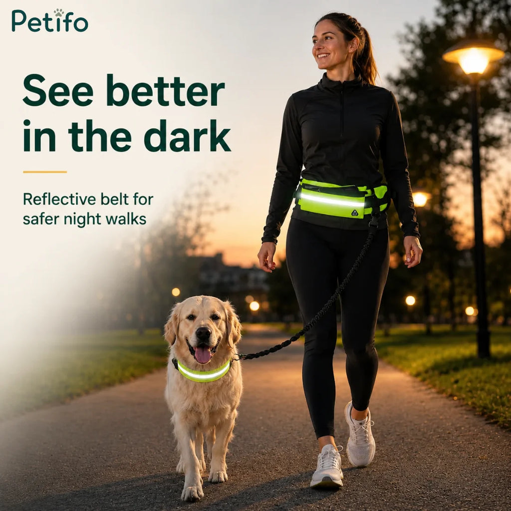 Woman walking her dog at dusk with a high-visibility reflective running belt and matching dog collar for night safety.