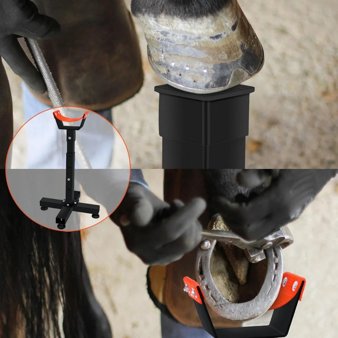 Adjustable Hoof Stand for horse Relieving - Petifo