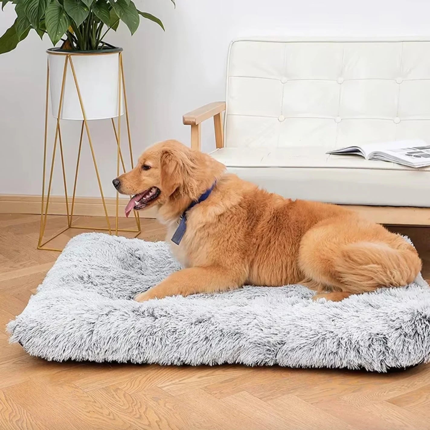 Fluffig Hundbädd, 
Hundbädd Tvättbar, CozyCloud Fluffig djurbädd - Djurslottet