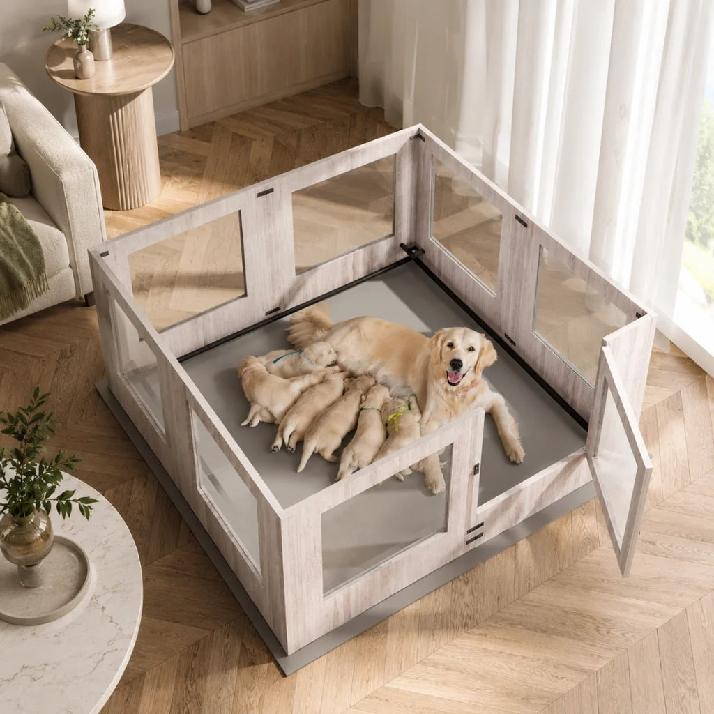 Dog Playpen with Window Panels - Petifo