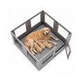 Dog Playpen with Window Panels 7 panels - Petifo