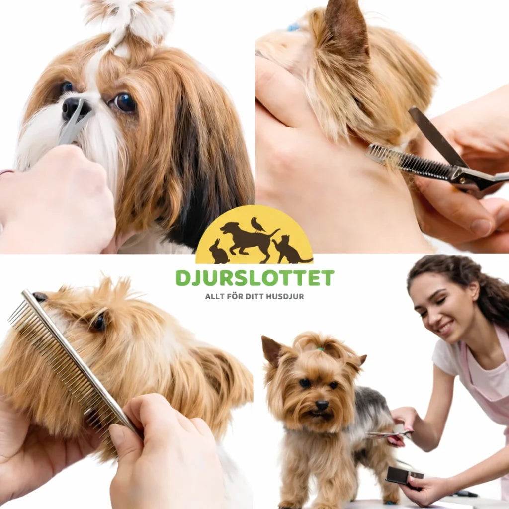 Dog scissor set in use - Petifo
