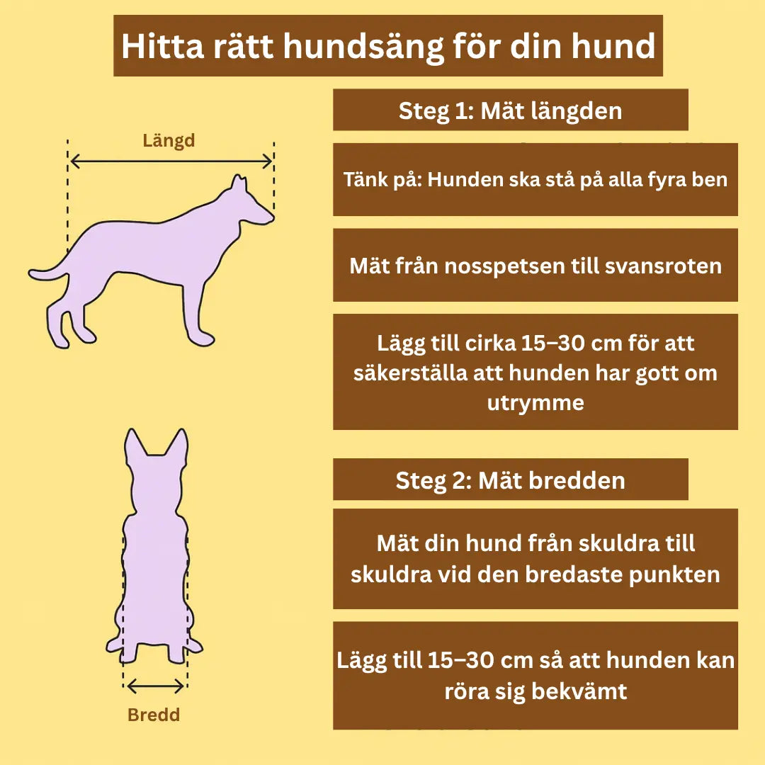 Hur man väljer rätt storlek för sitt husdjur - Djurslottet