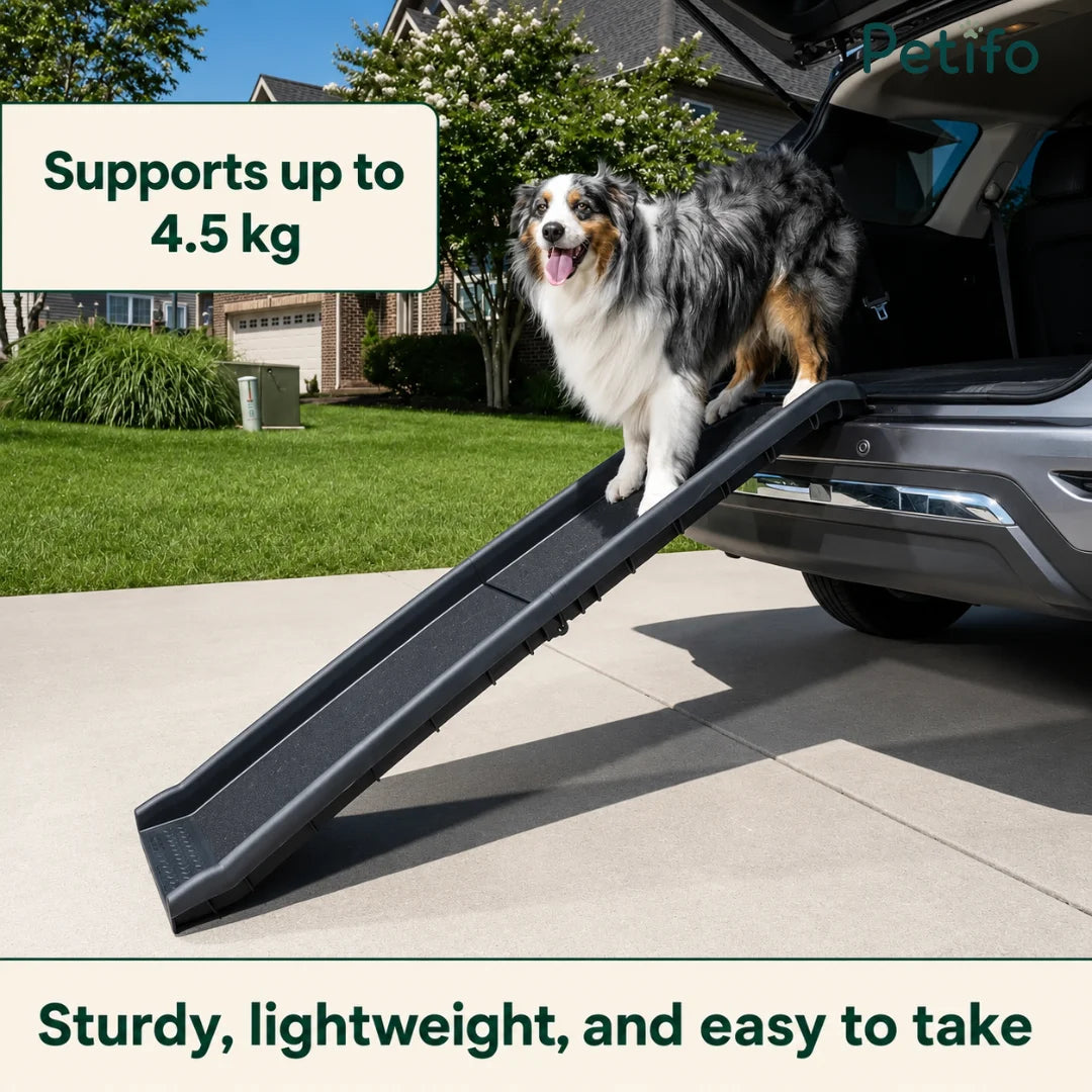 Illustration demonstrating the correct incline angles for safe dog ramp placement by vehicle height.