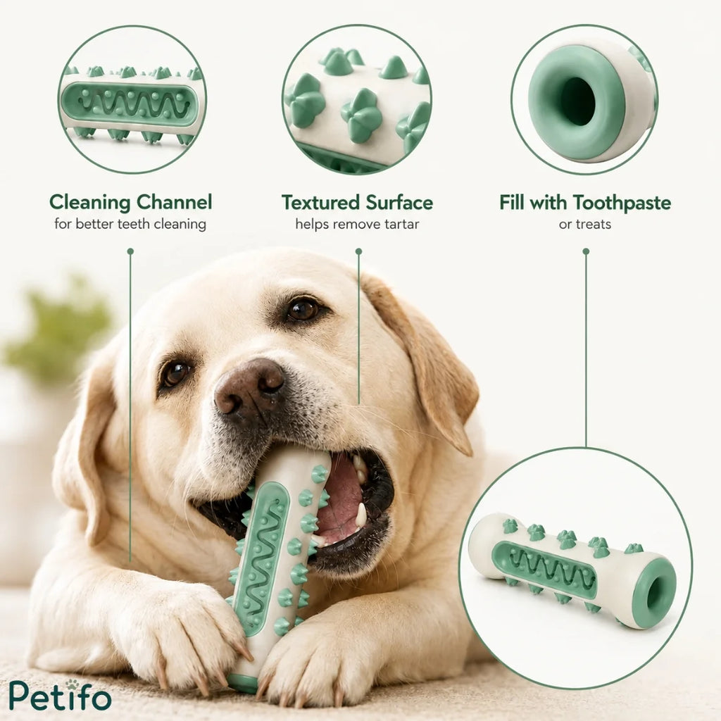 infographic highlighting the features of the Petifo dog dental chew toy, including its cleaning channel, textured surface, and toothpaste reservoir.