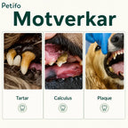 Infographic showing dog dental conditions prevented including tartar, calculus, and plaque