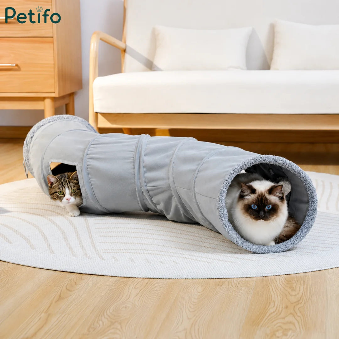 Two playful cats interacting with a grey collapsible cat tunnel on a round rug.