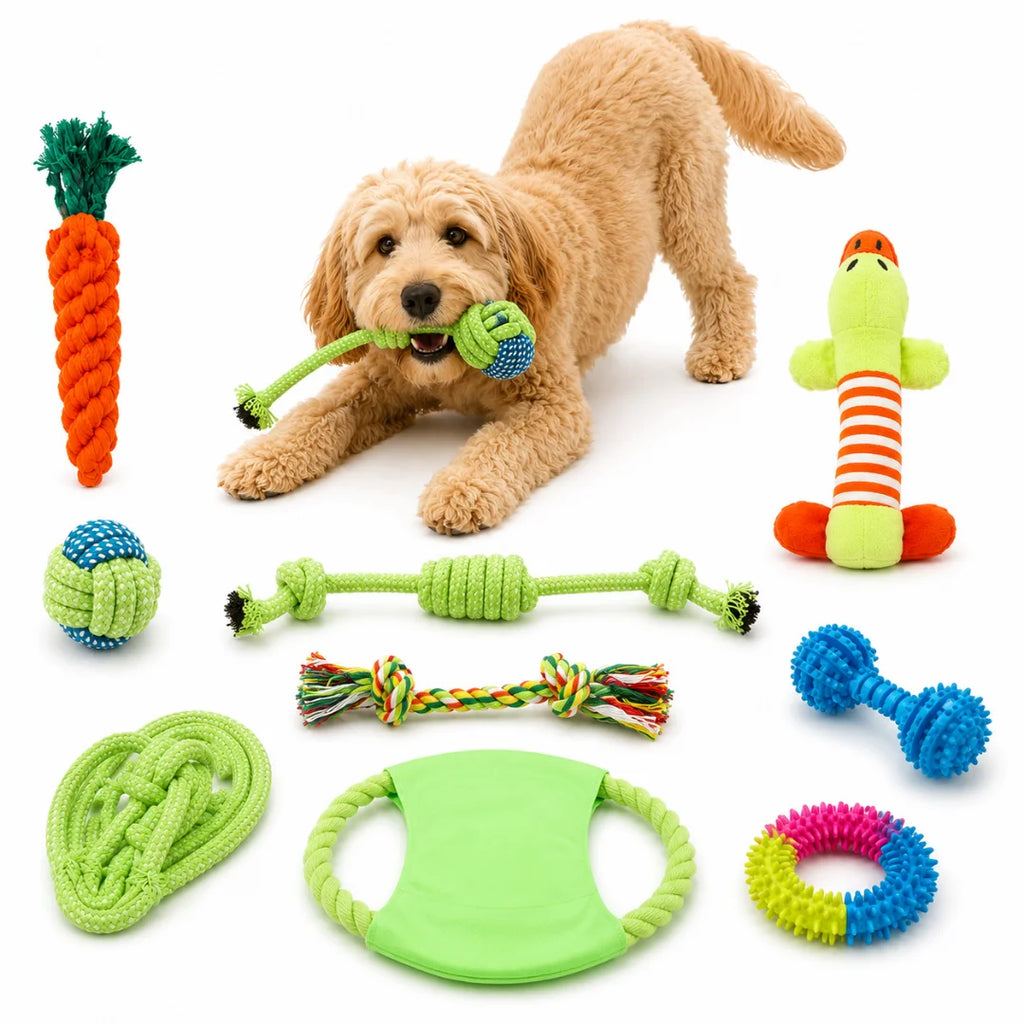 A fluffy golden doodle dog surrounded by a complete set of ten colorful interactive cotton rope toys for dogs.
