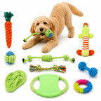 A fluffy golden doodle dog surrounded by a complete set of ten colorful interactive cotton rope toys for dogs.