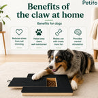 Australian Shepherd using the interactive scratch board next to home care benefit text blocks.
