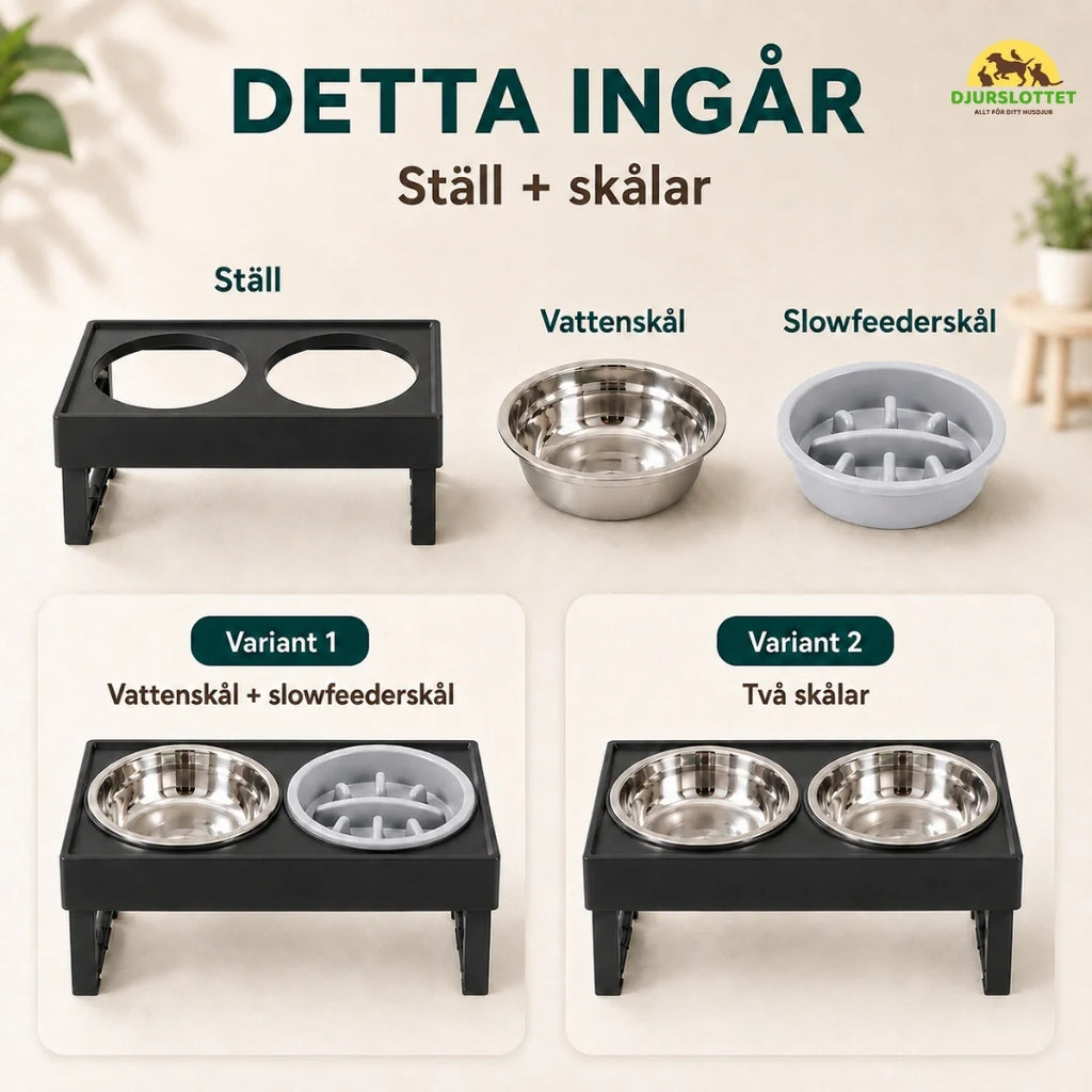 Adjustable Raised Bowl this is included - Petifo