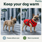 Before and after comparison demonstrating how the winter dog jacket keeps French bulldogs warm in cold weather.