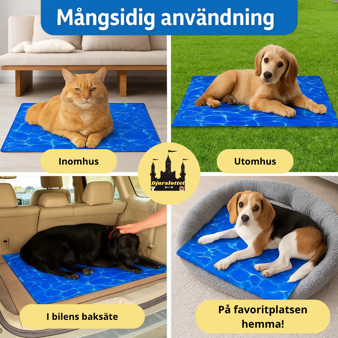 FrostyPaws Kylmatta - Djurslottet