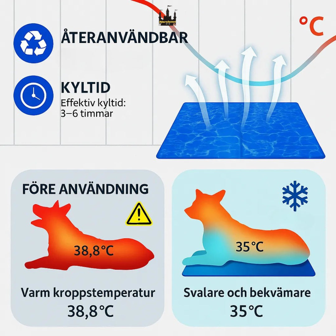 Infografik om Djurslottets kylmatta – sänker kroppstemperatur och ger 3–6 timmars effektiv kyla