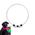 LED Collar for Dogs & Cats - Petifo