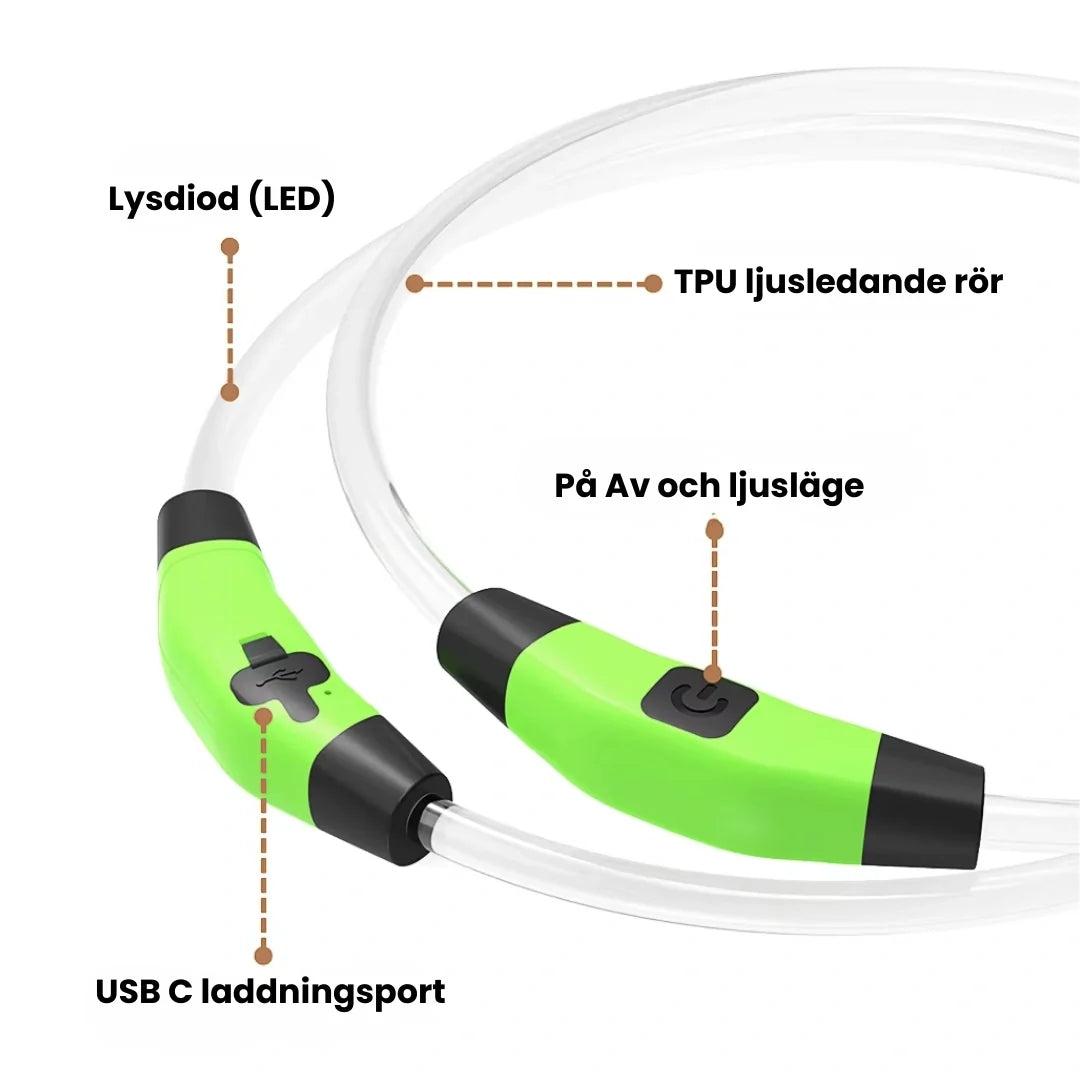 LED Collar for Dogs & Cats LED - Petifo