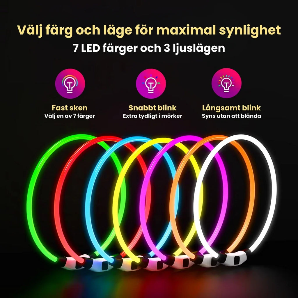 LED Collar for Dogs & Cats Choose colour and mode for maximum visibility - Petifo